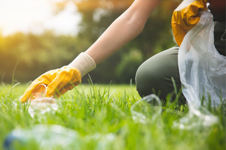 How a Clean Work Environment Boosts Employee Productivity – SureSafe ...